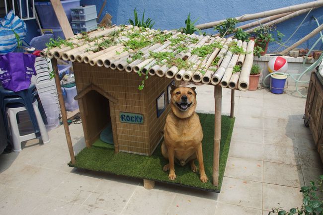 Cheap DIY Dog House 