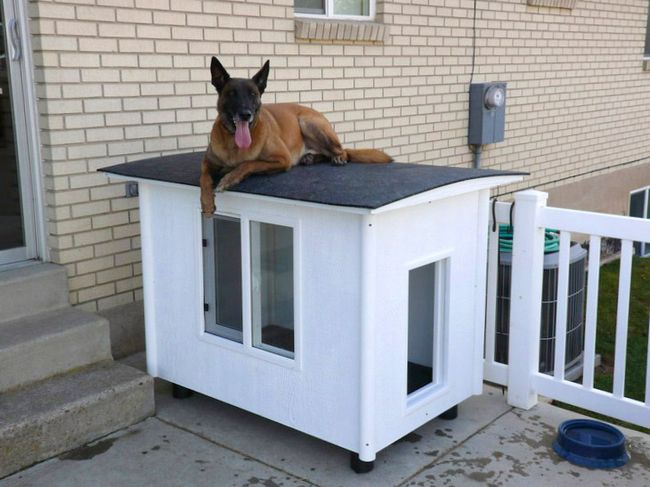 DIY Dog Mansion