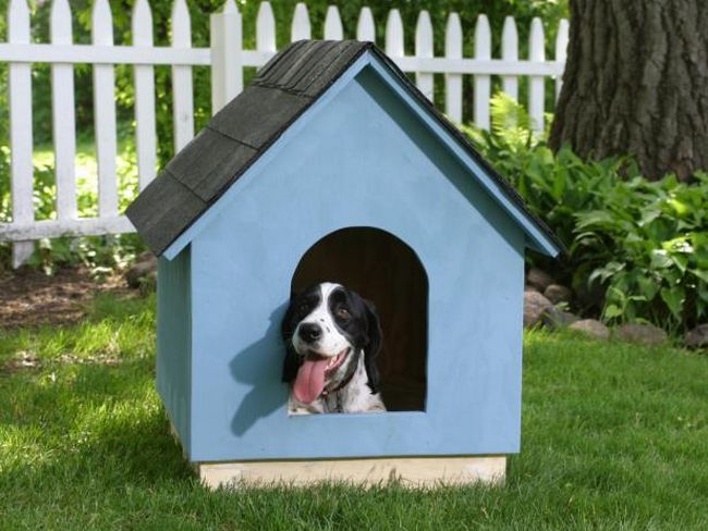 DIY Doghouse Frames