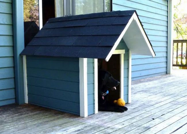 How To Build A Custom canine House