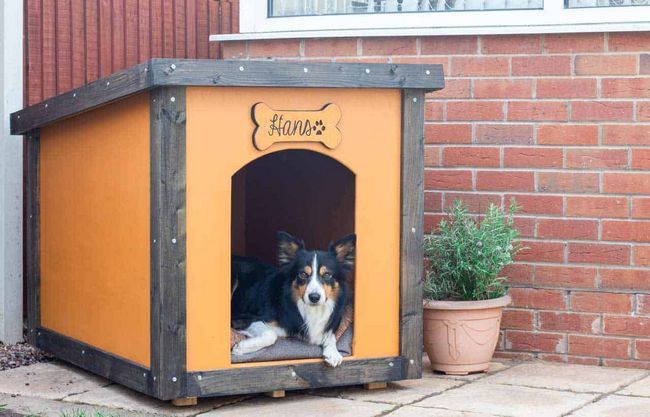 How To Build A pet House