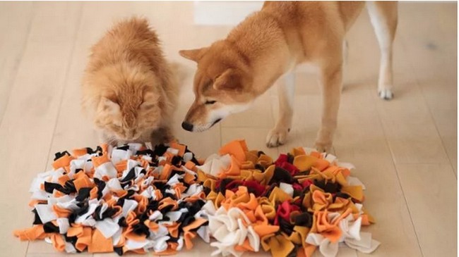 How To Make A Snuffle Mat For Dogs By petsrdar