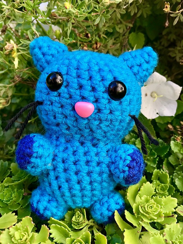 Beginner Kitty Cat (Blue Kitty)
