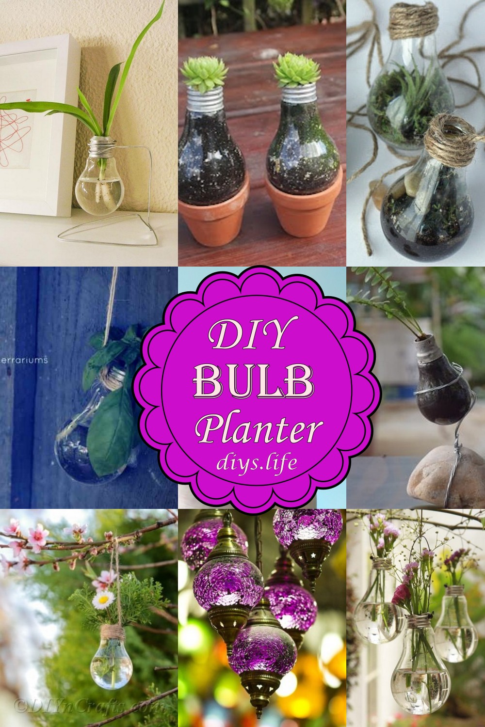DIY Bulb Planter 1