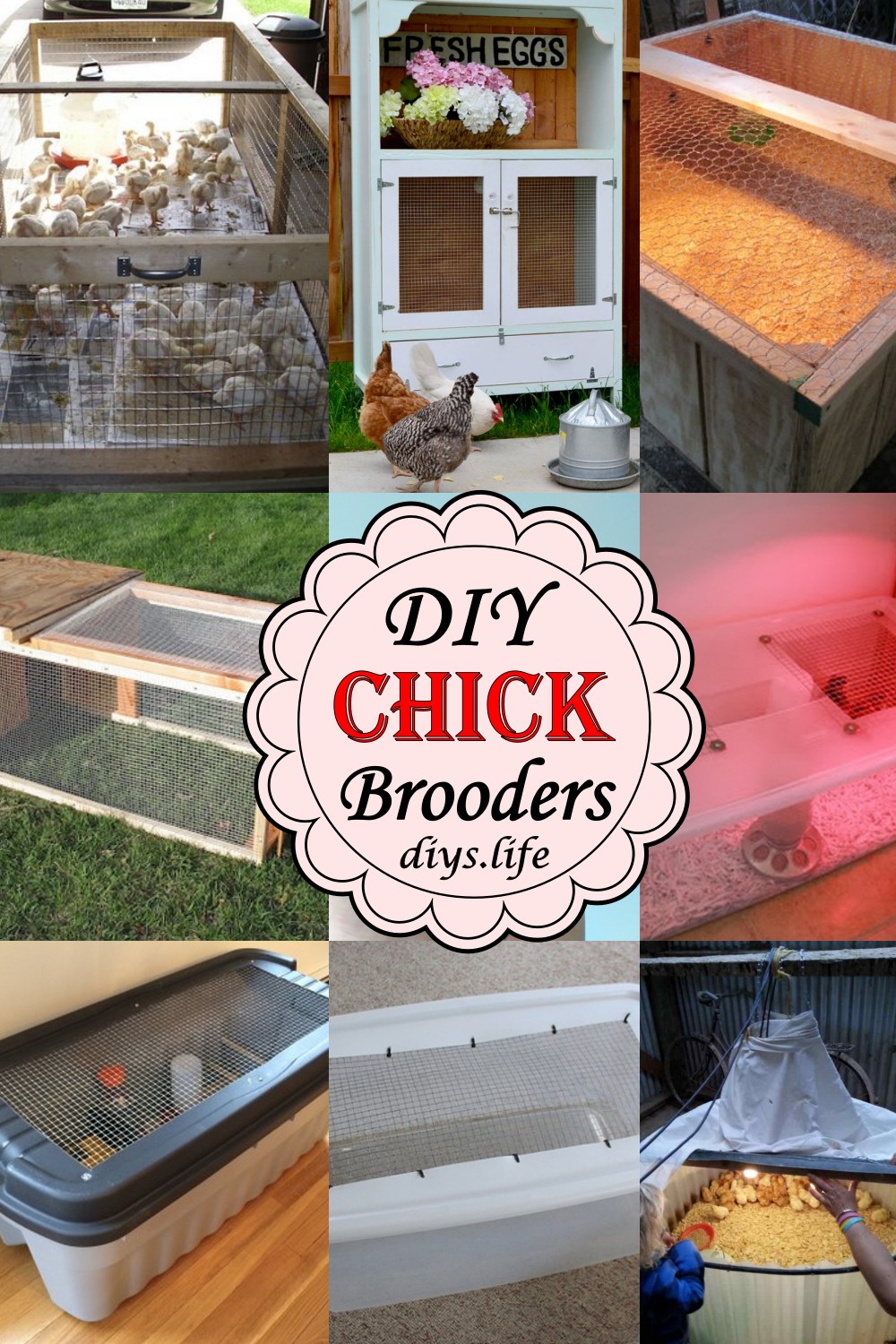 DIY Chick Brooders 1