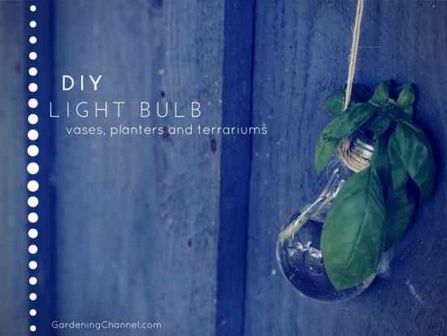 DIY Recycle Light Bulbs For Vases Flower Planters