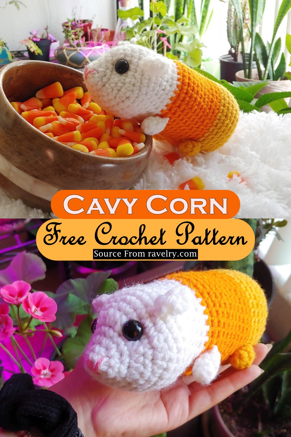 Crochet Cavy Corn