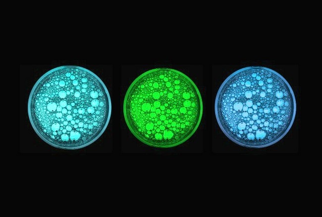 Exciting Glow-in-the-dark Bubbles