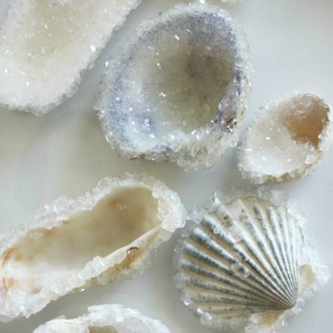 Gorgeous Crystal Shells