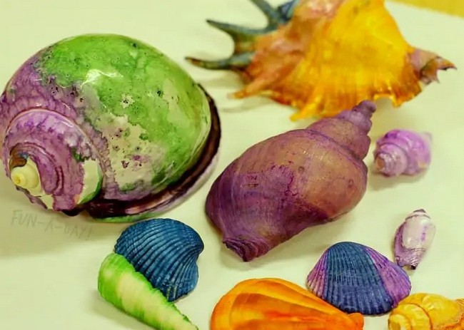 Water Color Shells