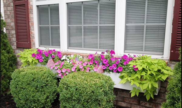 Build And Install A Long DIY Window Box