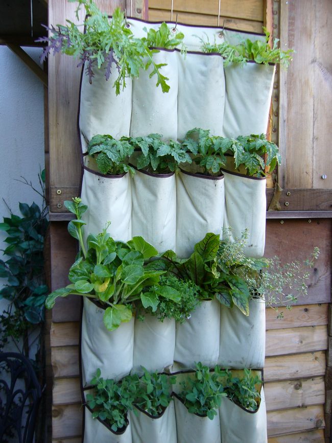 Cloth Pocket Hanging Garden Idea