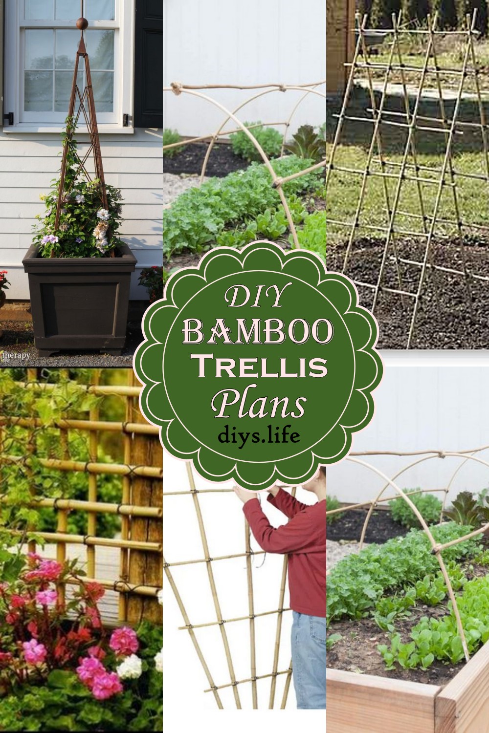 DIY Bamboo Trellis Plans