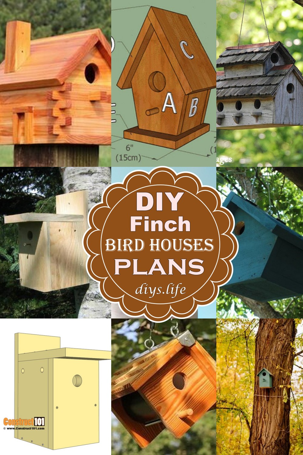 DIY Finch Bird Houses