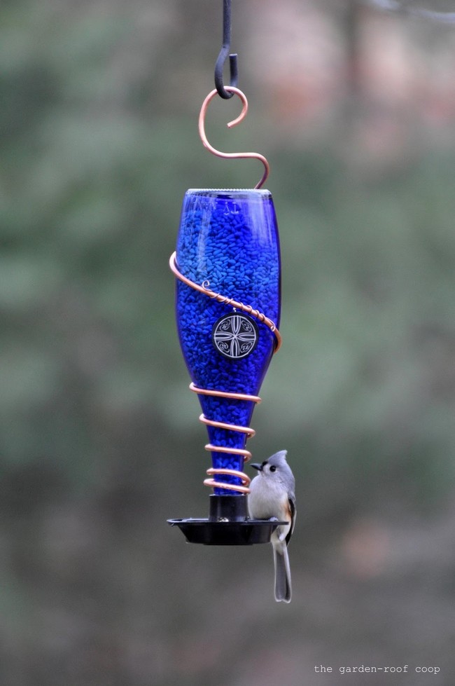 Glass Bottle Bird-Feeders