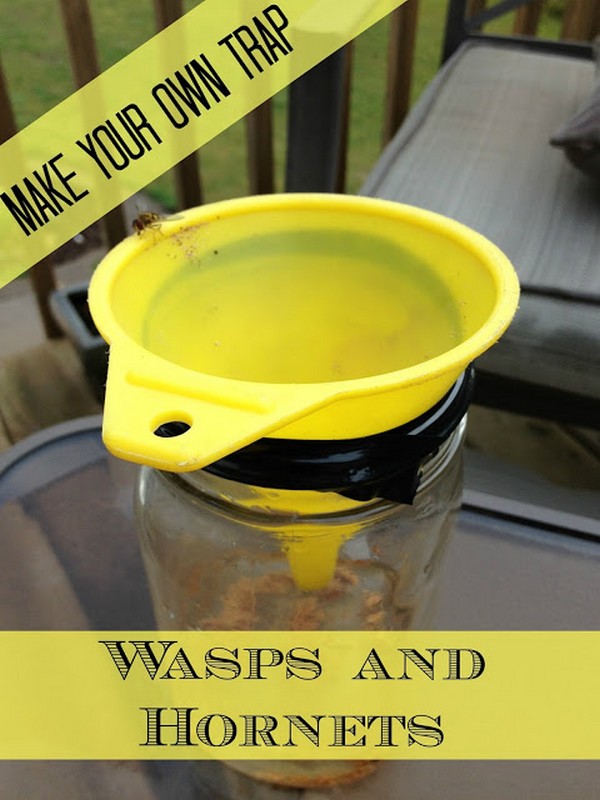 DIY Hornet and Wasp Trap