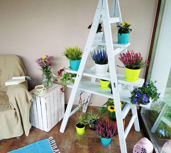 Indoor Garden Ideas Under Ladder