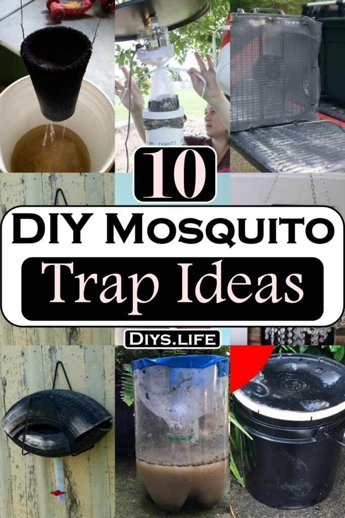 10 DIY Mosquito Trap Ideas To Keep Mosquitos Away - DIYS