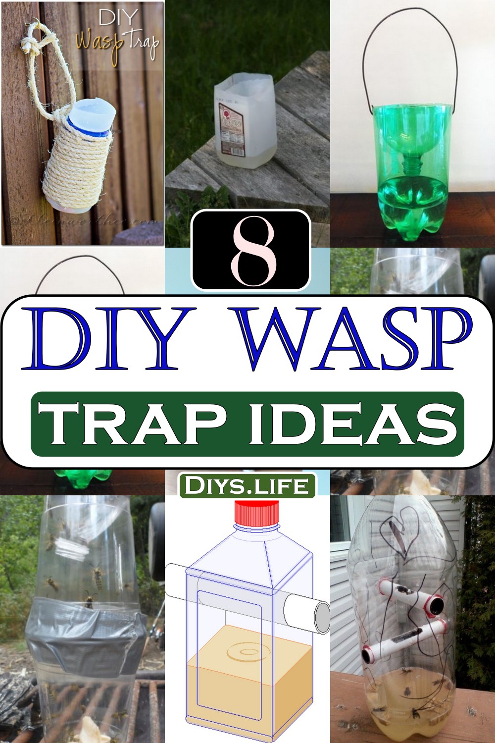 DIY Wasp Trap Ideas