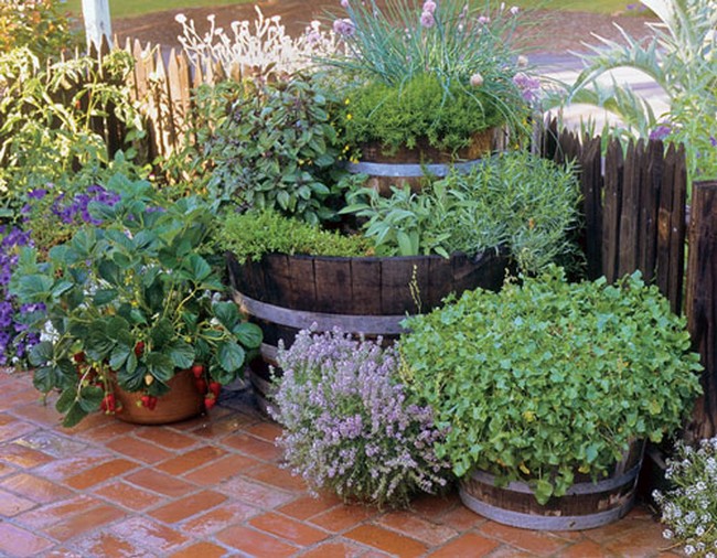 Double-Barrel Herb Garden