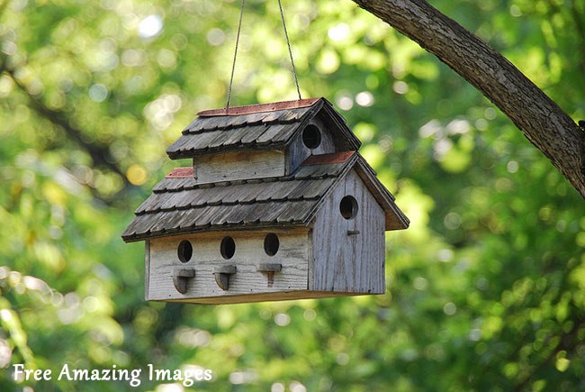 Finch Bird House Plans Free Modern Home Design