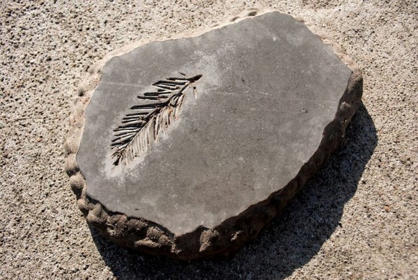 how to make Fossil Stepping Stones