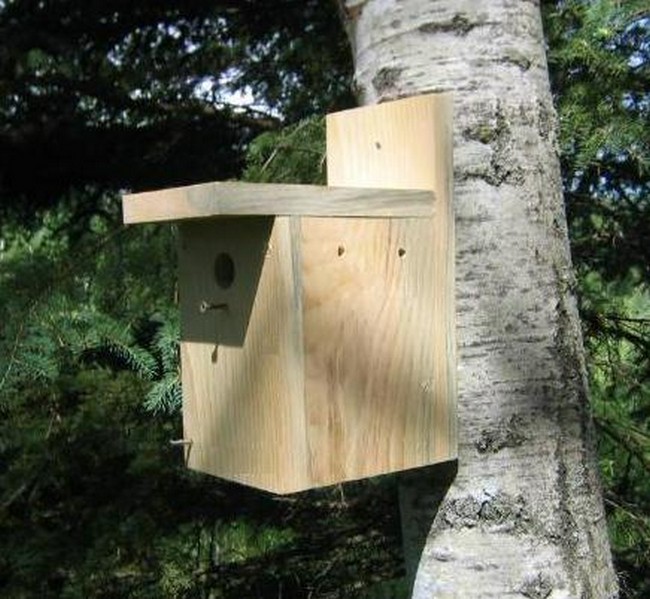 How To Build A Birdhouse