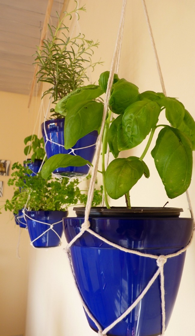 Indoor Hanging Herb Garden
