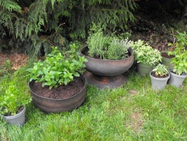 Tire Planter For Small Garden