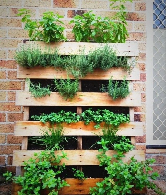 Small Herb Garden Idea With Pallets