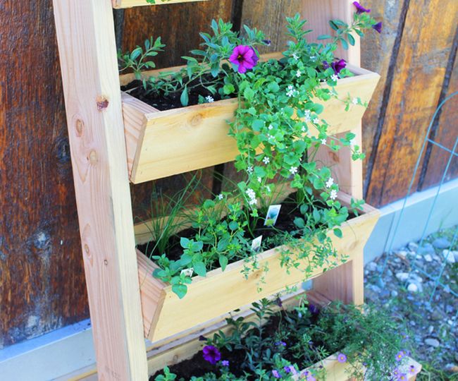 How To Make Vertical  Vegetable Garden With Ladder