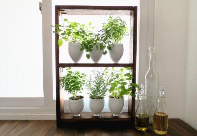 Plastic Bottle Do-It-Yourself Window Herb Garden