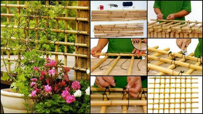 Small Bamboo Trellis
