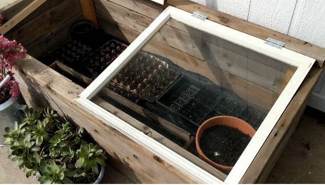 Small Greenhouse To Gow Your Baby Flowers