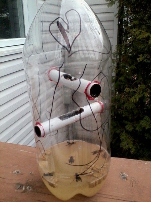 Wasp Trap With a Bottle and PEX Tubes