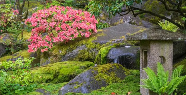 Easy Zen Moss Garden