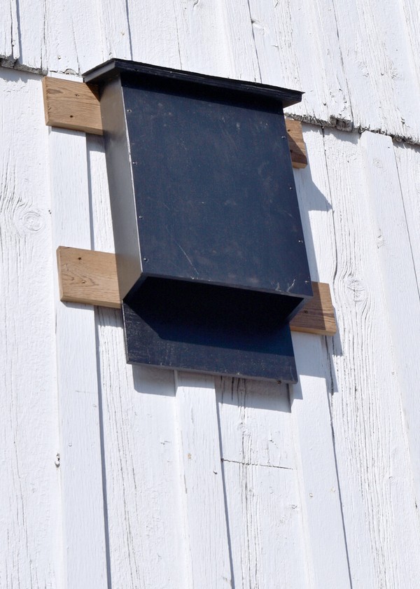 20 DIY Bat House Plans To Attract Bats DIYS