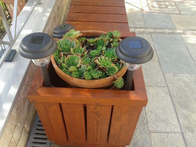 Bench and Planter