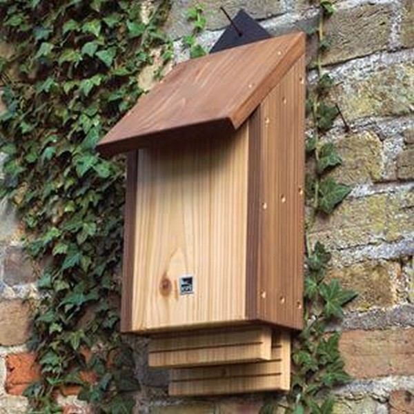 Birdhouse Easy Bat House