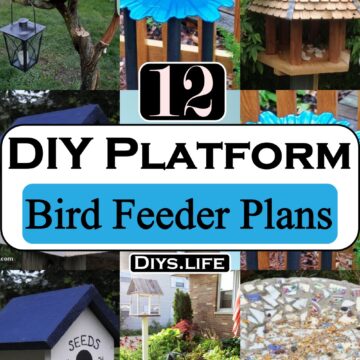 DIY Platform Bird Feeder Plans