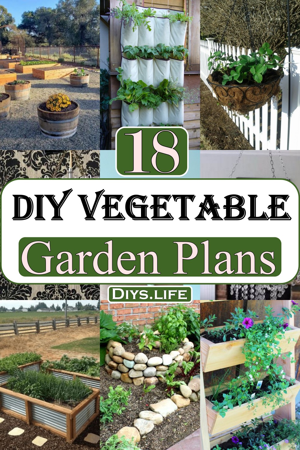 DIY Vegetable Garden Plans