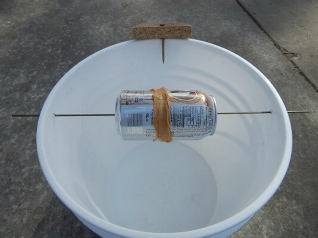 Bucket Mouse Trap