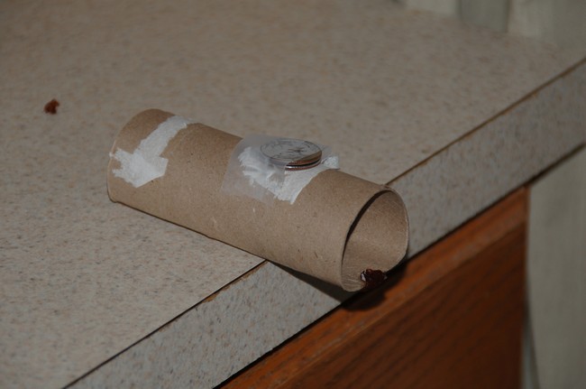 Homemade Trap for mice