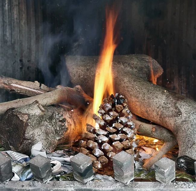 Homemade Fire Start With Pinecones