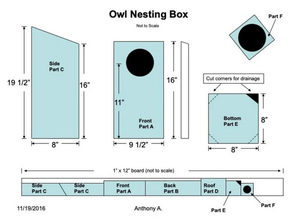 Owl box Build Plan
