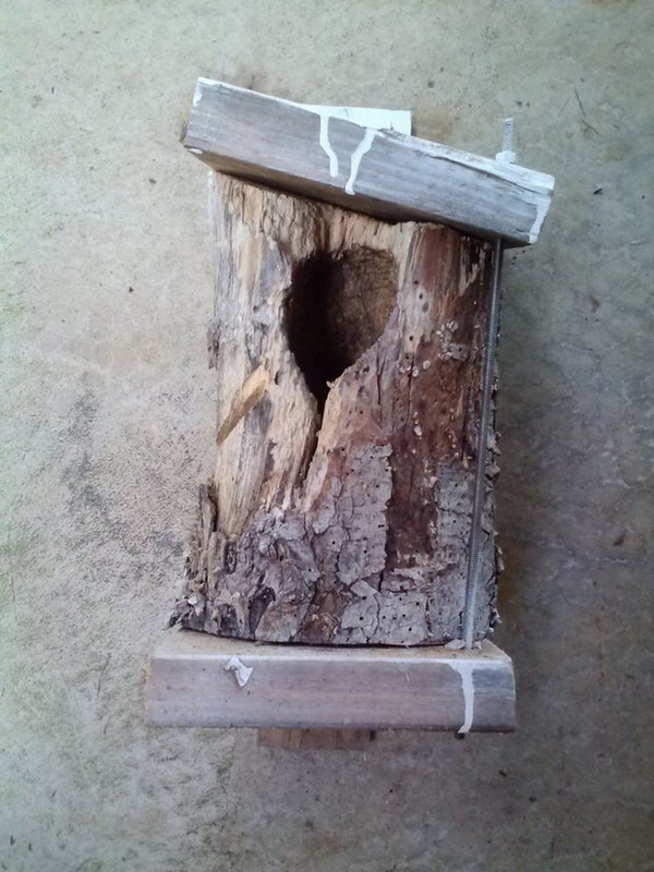 Recycled Owl House Building