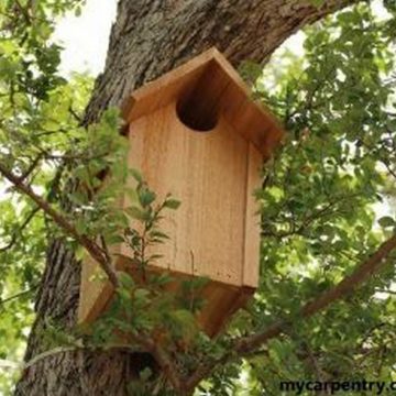Wooden Owl House Plan