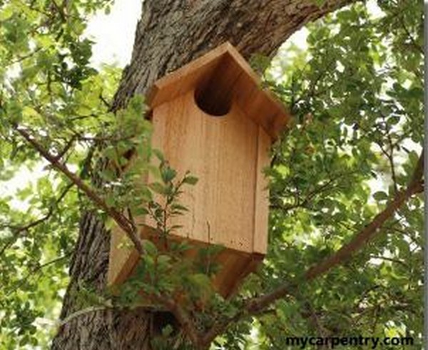 Wooden Owl Home Plan