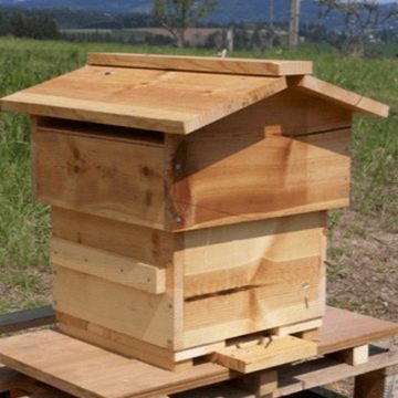 Budget-Friendly Warre Beehive