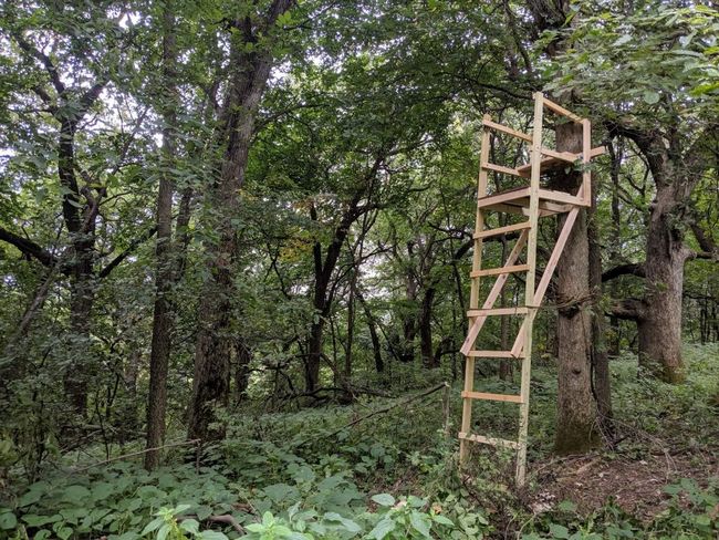 Wooden Ladder Stand For Hunting